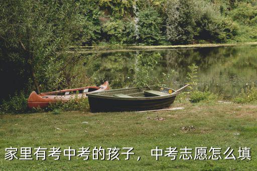 家里有考中考的孩子，中考志愿怎么填