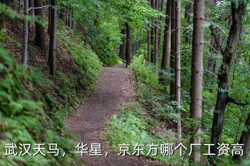 武漢京東方配套廠怎么樣,武漢京東方的待遇怎么樣