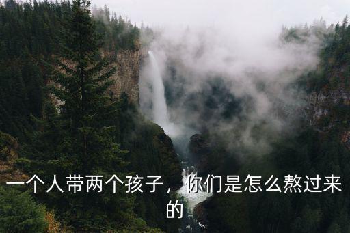 一個人帶兩個孩子，你們是怎么熬過來的