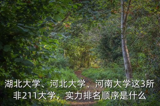 湖北大學、河北大學、河南大學這3所非211大學，實力排名順序是什么