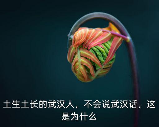 武漢話白板怎么說,不會說武漢話