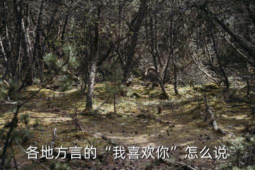 黃岡話我喜歡你怎么說,各地方言的我喜歡你怎么說