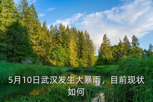 武漢大暴雨怎么解決,5月10日武漢發生大暴雨