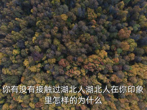 你有沒(méi)有接觸過(guò)湖北人湖北人在你印象里怎樣的為什么