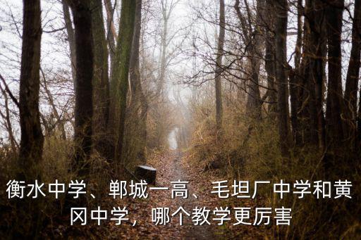 衡水中學、鄲城一高、毛坦廠中學和黃岡中學，哪個教學更厲害