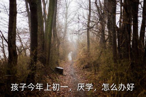 武漢初一學(xué)生厭學(xué)怎么辦,初一學(xué)生厭學(xué)該怎么辦