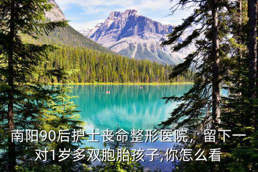 南陽90后護(hù)士喪命整形醫(yī)院，留下一對1歲多雙胞胎孩子,你怎么看