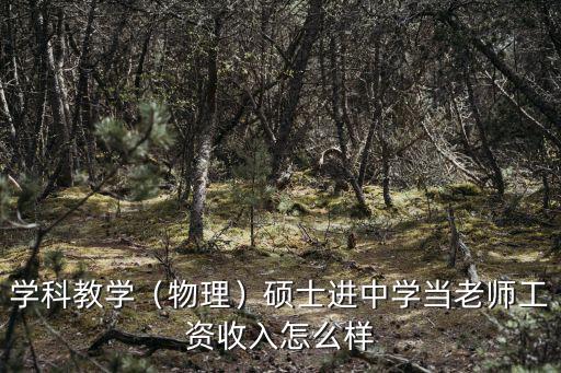 在武漢當初中老師工資待遇怎么樣,在編教師工資待遇怎么樣
