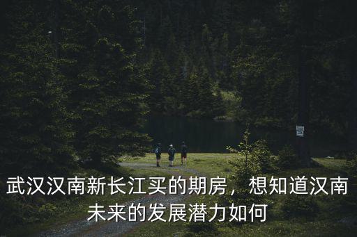 武漢漢南新長江買的期房，想知道漢南未來的發展潛力如何