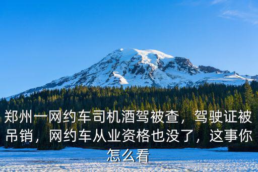 鄭州一網約車司機酒駕被查，駕駛證被吊銷，網約車從業資格也沒了，這事你怎么看