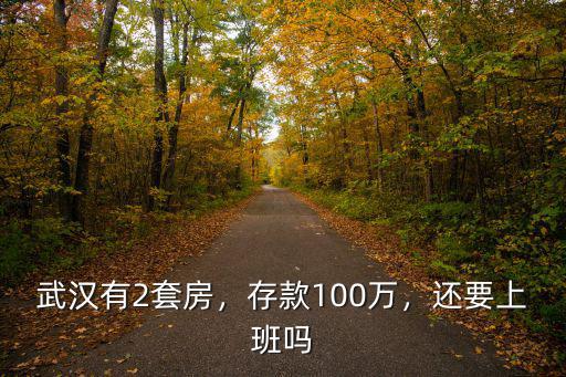 武漢有2套房，存款100萬，還要上班嗎