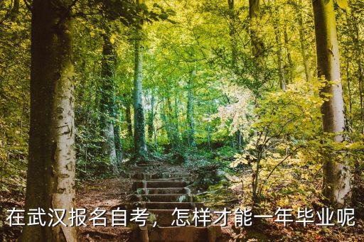 在武漢報(bào)名自考，怎樣才能一年畢業(yè)呢