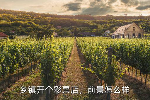 鄉鎮開個彩票店，前景怎么樣