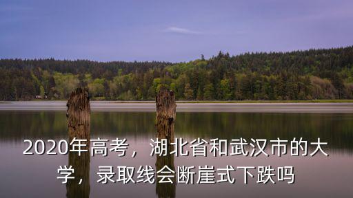 2020年高考，湖北省和武漢市的大學，錄取線會斷崖式下跌嗎