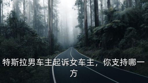 河南特斯拉女車主是哪里人,特斯拉男車主起訴女車主