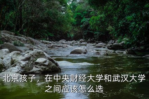 武漢大學(xué)中部發(fā)展研究生怎么知乎,同濟(jì)和武漢大學(xué)該怎么選