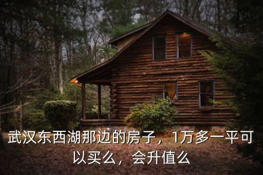 武漢東西湖那邊的房子，1萬多一平可以買么，會(huì)升值么