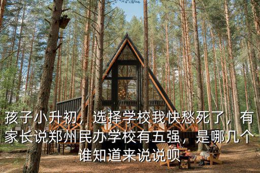 孩子小升初，選擇學校我快愁死了，有家長說鄭州民辦學校有五強，是哪幾個誰知道來說說唄