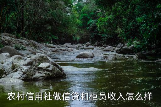 湖北省農(nóng)村信用社柜員待遇怎么樣,農(nóng)村信用社是什么性質(zhì)的單位