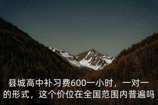 縣城高中補習費600一小時，一對一的形式，這個價位在全國范圍內普遍嗎