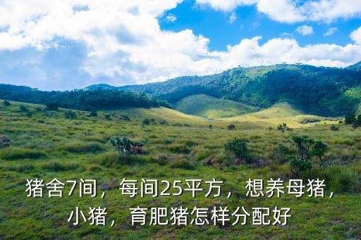 豬舍7間，每間25平方，想養(yǎng)母豬，小豬，育肥豬怎樣分配好