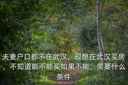 夫妻戶(hù)口都不在武漢，現(xiàn)想在武漢買(mǎi)房，不知道能不能買(mǎi)如果不能，需要什么條件