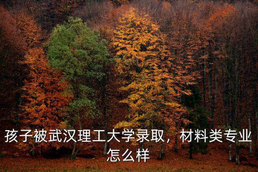 孩子被武漢理工大學錄取，材料類專業怎么樣