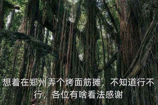 想著在鄭州弄個(gè)烤面筋攤，不知道行不行，各位有啥看法感謝