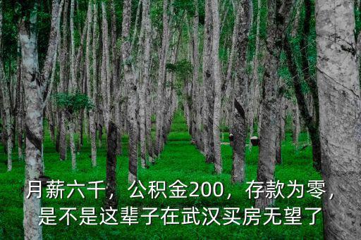 武漢月薪六千怎么辦,在武漢月薪6000怎樣生存