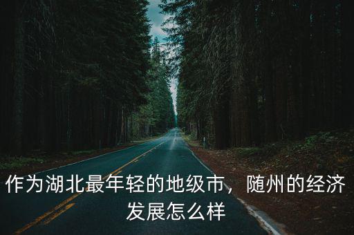 作為湖北最年輕的地級(jí)市，隨州的經(jīng)濟(jì)發(fā)展怎么樣