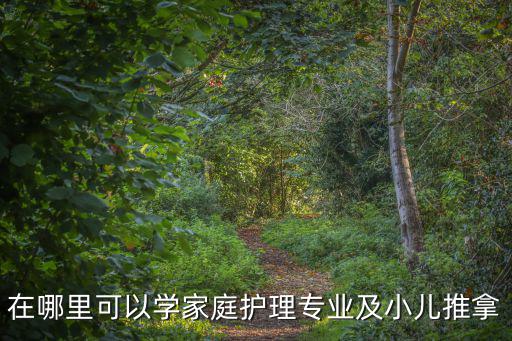 在哪里可以學(xué)家庭護(hù)理專業(yè)及小兒推拿