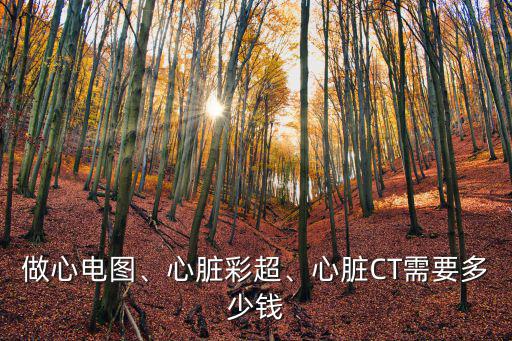 做心電圖、心臟彩超、心臟CT需要多少錢