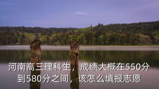 河南481分高考志愿怎么填,怎么填志愿能保證上個本科