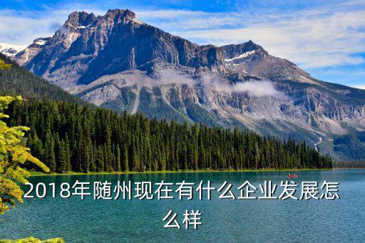 2018年隨州現在有什么企業發展怎么樣