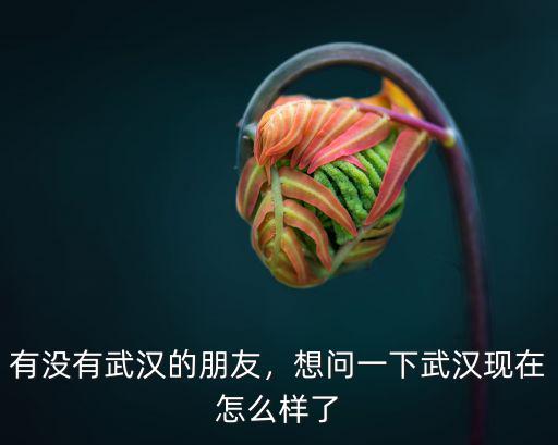 武漢封城武漢人怎么想,武漢還封城嗎