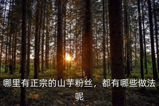 哪里有賣河南正宗粉條的,哪里有正宗的山芋粉絲