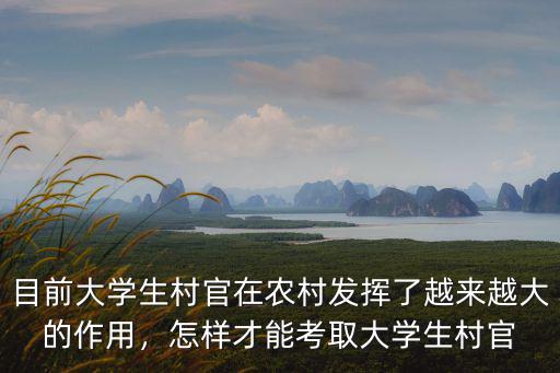 湖北潛江村官怎么考,怎么報考大學(xué)生村官