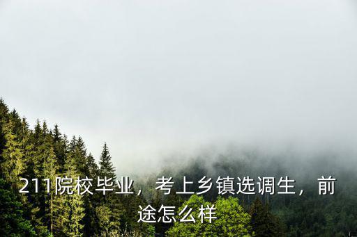 211院校畢業，考上鄉鎮選調生，前途怎么樣