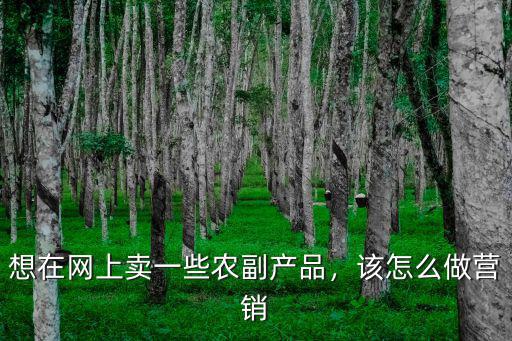 黃岡網上營銷怎么做,該怎么做營銷