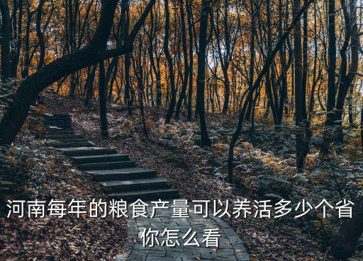 河南每年的糧食產(chǎn)量可以養(yǎng)活多少個省你怎么看