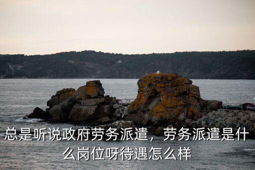 總是聽說政府勞務派遣，勞務派遣是什么崗位呀待遇怎么樣