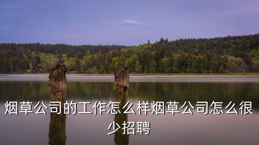 煙草公司的工作怎么樣煙草公司怎么很少招聘