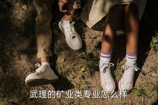 武漢理工大學礦業類專業怎么樣,武理的礦業類專業怎么樣