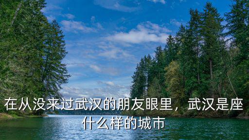 在從沒(méi)來(lái)過(guò)武漢的朋友眼里，武漢是座什么樣的城市