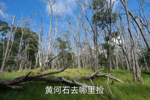 黃河鄭州段哪里能撿石,黃河石去哪里撿