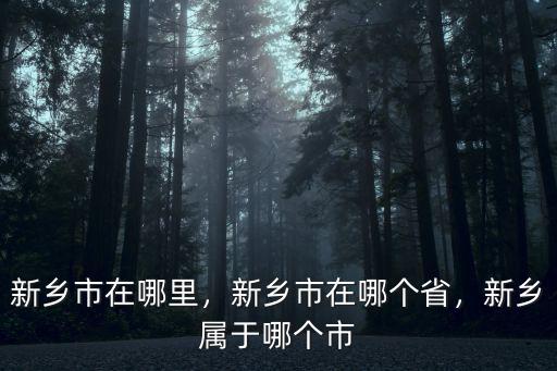 新鄉(xiāng)市在哪里，新鄉(xiāng)市在哪個(gè)省，新鄉(xiāng)屬于哪個(gè)市