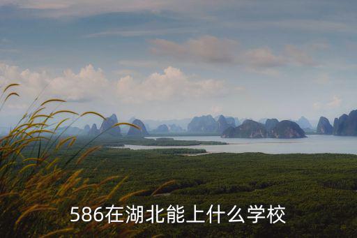 湖北586分考的怎么樣,湖北理科考生