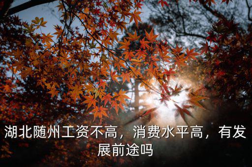 湖北隨州工資不高，消費水平高，有發(fā)展前途嗎