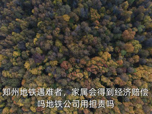 鄭州地鐵死者怎么賠償,鄭州地鐵遇難者