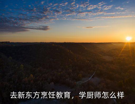 去新東方烹飪教育，學廚師怎么樣